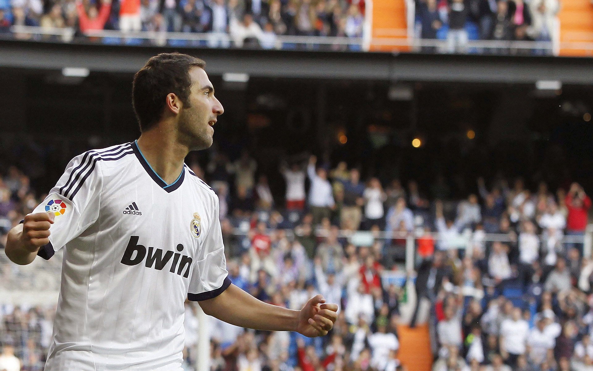 “南非羚羊队的新面貌:萨尔·巴赫作为年轻领军人物”