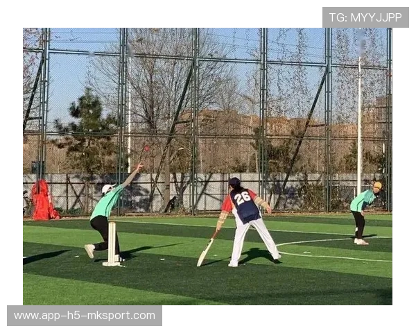 板球战术与心理把握决定系列赛胜负