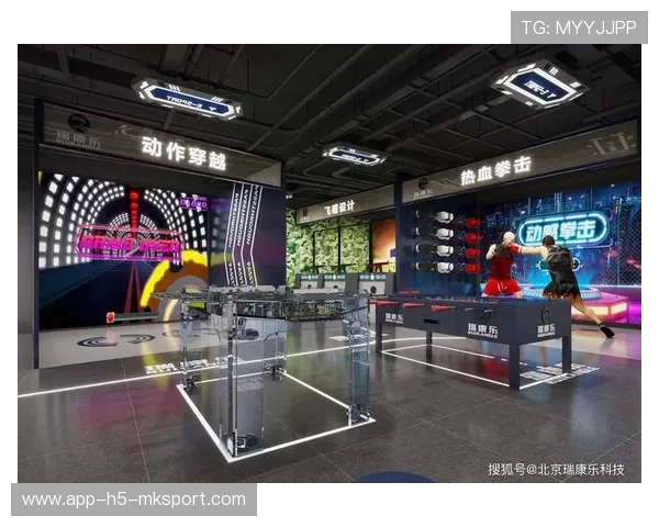 体育比赛关键数据可视化与应用